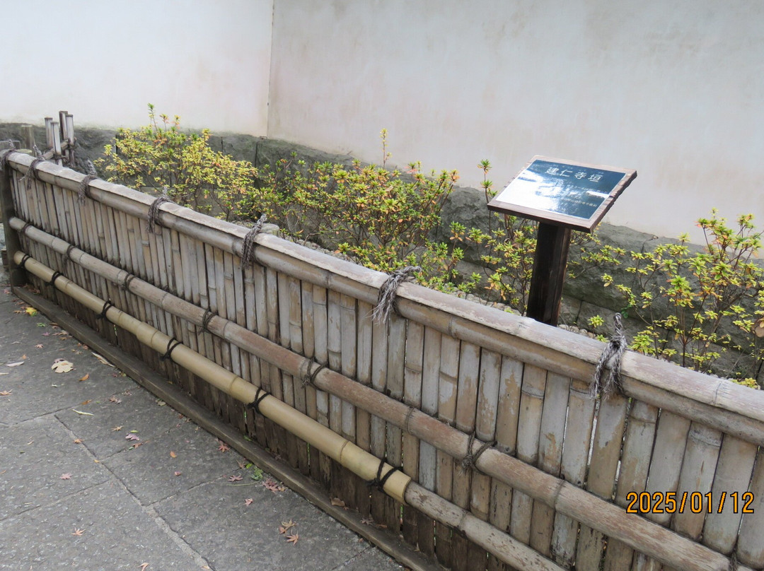 Togoshi Park-品川区必去景点