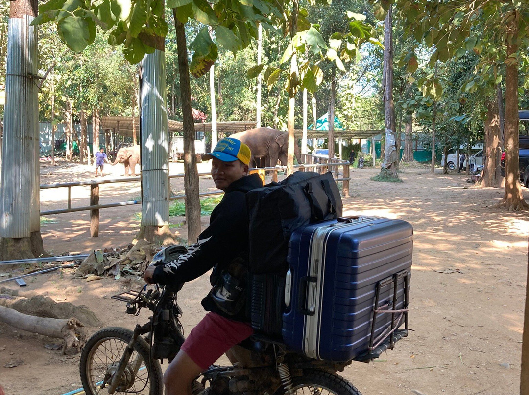 Puthawan Elephant Camp主图