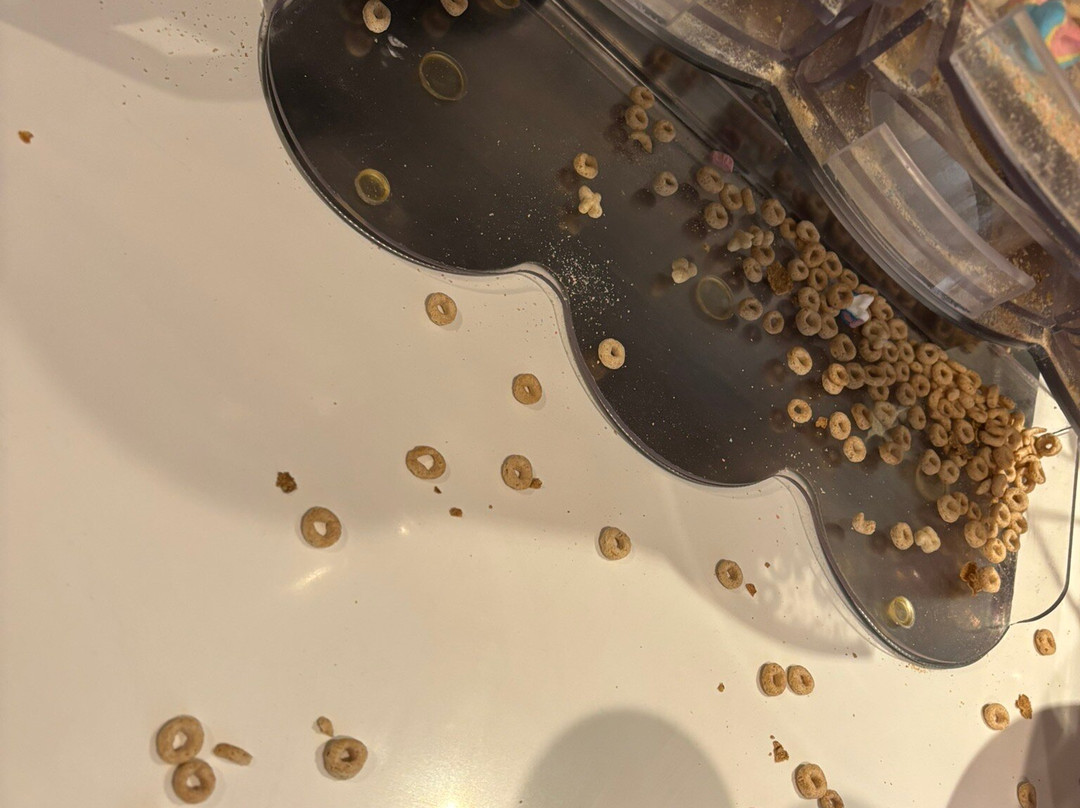 Best Western Plus Ft Lauderdale Hollywood Airport Hotel主图