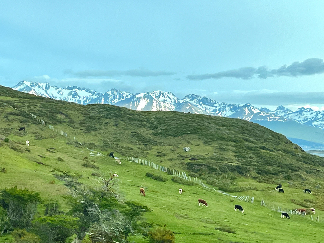 Errante Ecolodge主图