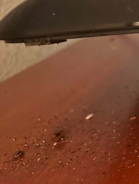 Days Inn by Wyndham Indiana PA Near IUP主图