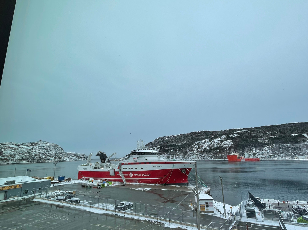 Alt Hotel St. John's主图