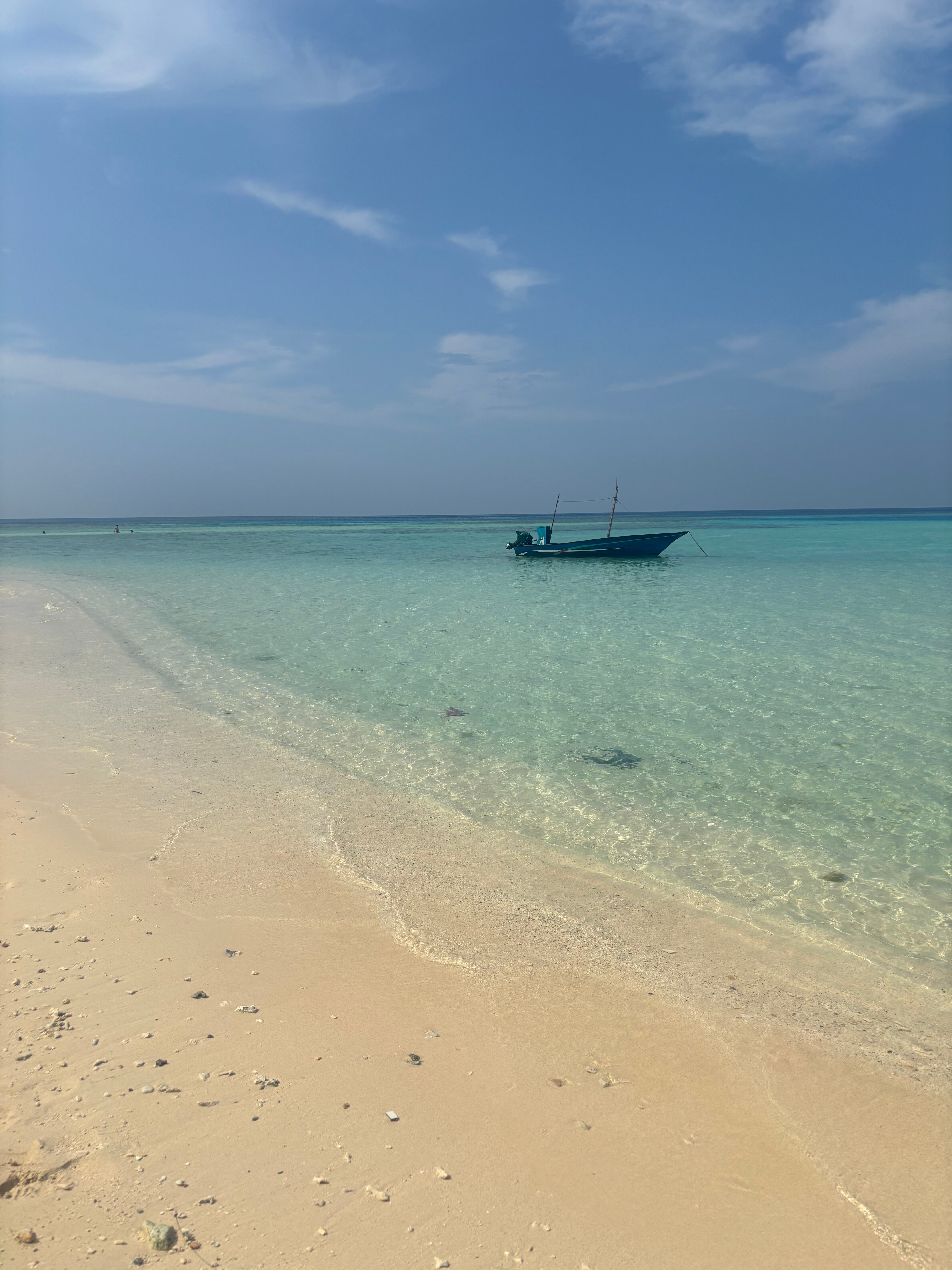 Boaveli Maldives Guesthouse-泳池
