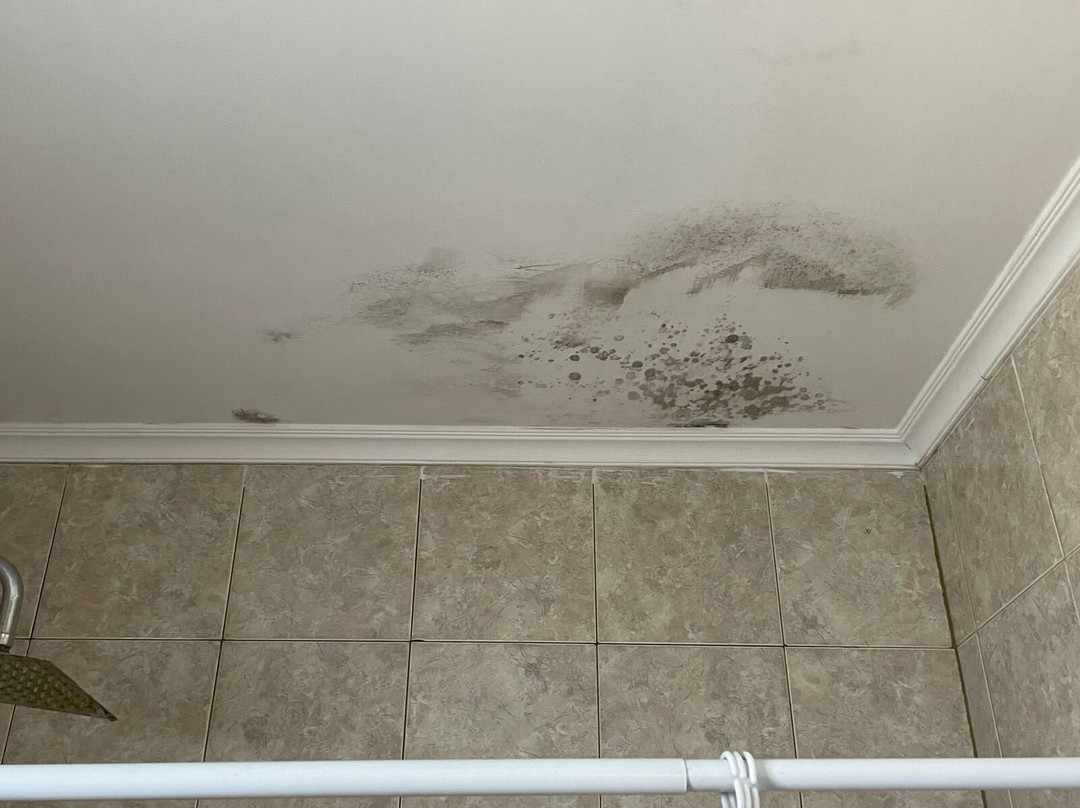 Brisas del Lago主图