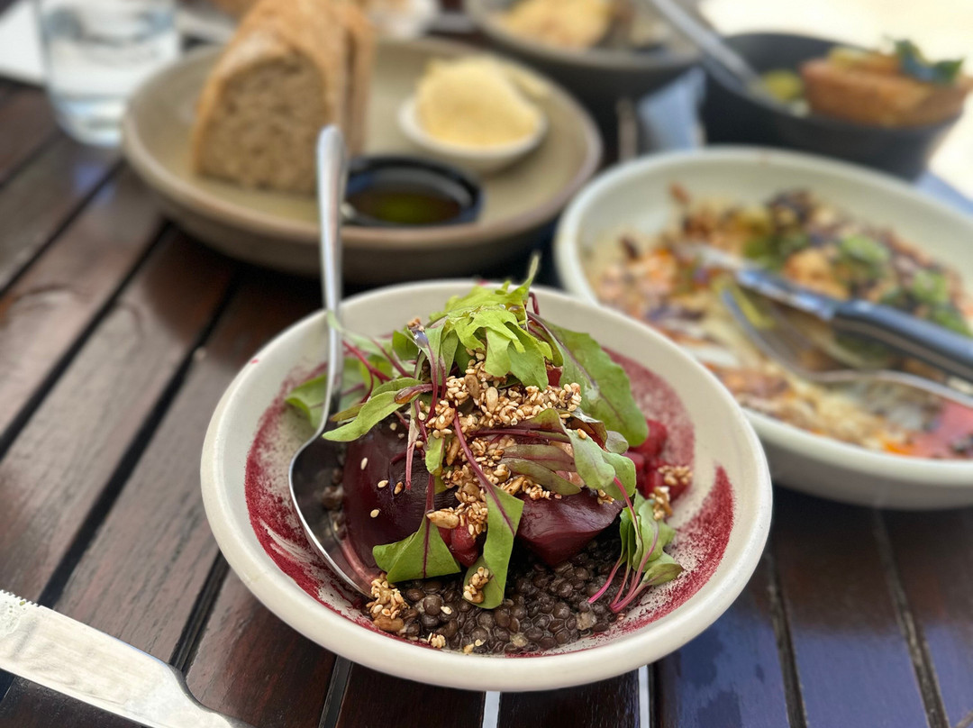 Big Aroha Tours-怀系奇岛必去景点