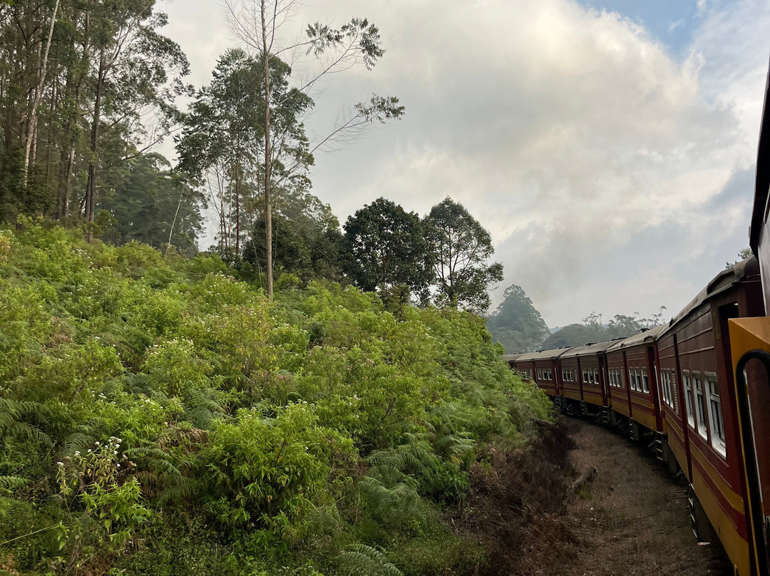 Nana's Lanka Tours & Travels-尼甘布必去景点