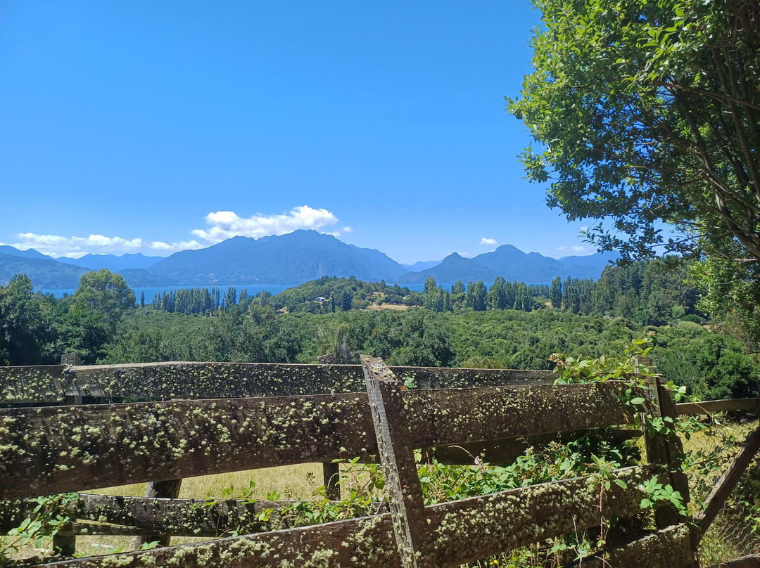 Isla Huapi-Futrono必去景点