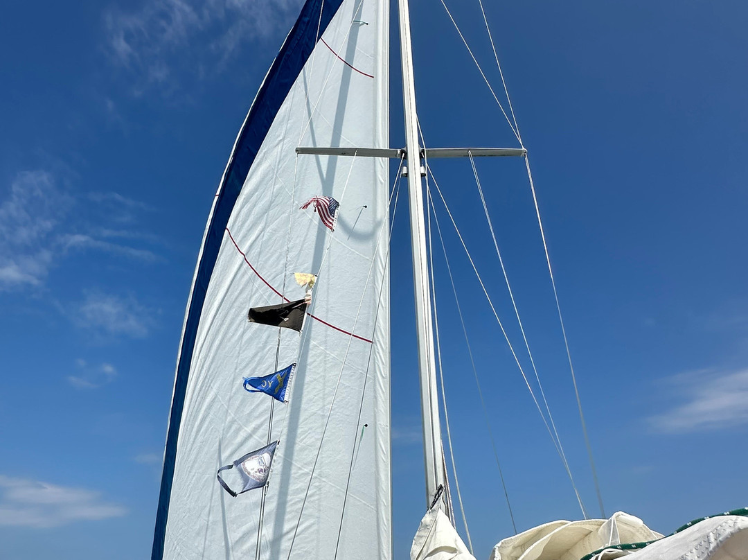 Sweet Sea Charters, Llc景点图片