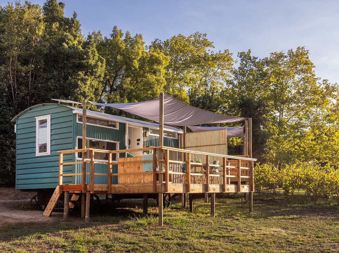 Caledon Grace Guesthouse主图