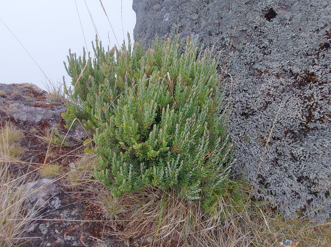 Mount Bawakaraeng-Malino必去景点