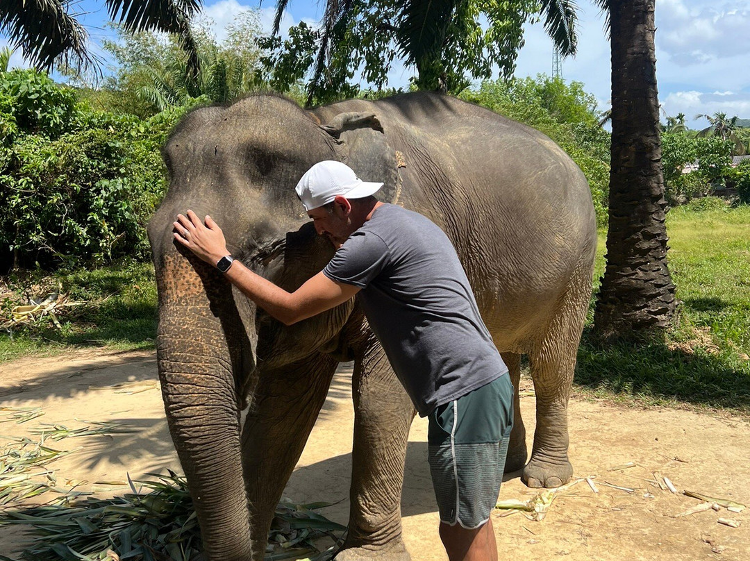 Lanta Elephant Sanctuary-兰塔岛必去景点