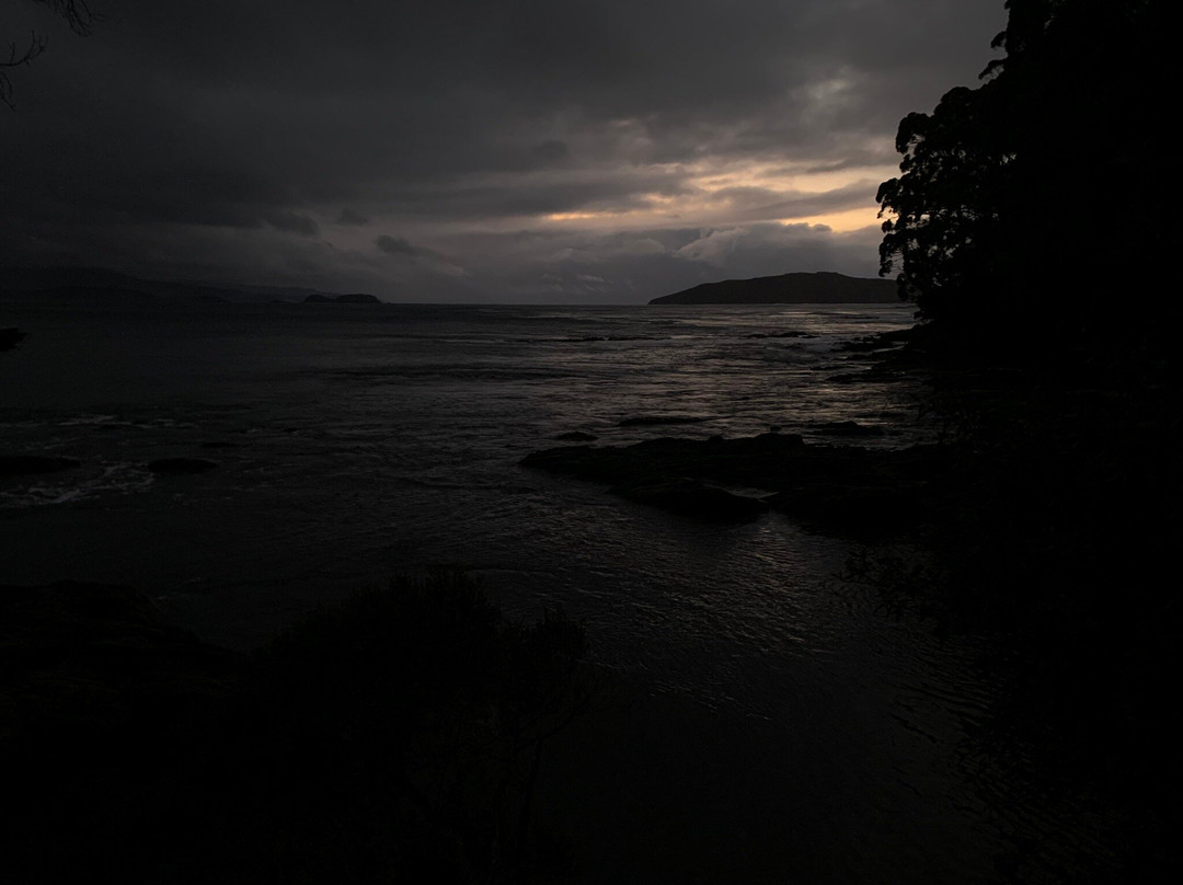 Tasmanian Wilderness Experiences景点图片