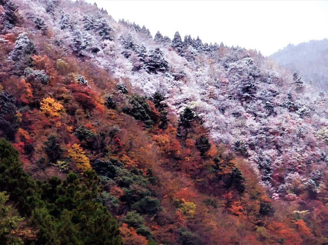 Konose Gorge-那贺町必去景点