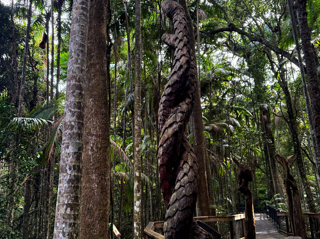 Sea Acres Rainforest Centre Port Macquarie-麦克夸利港必去景点