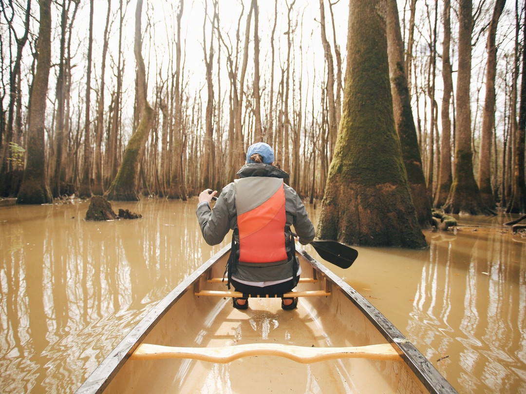 Palmetto Outdoor-West Columbia必去景点