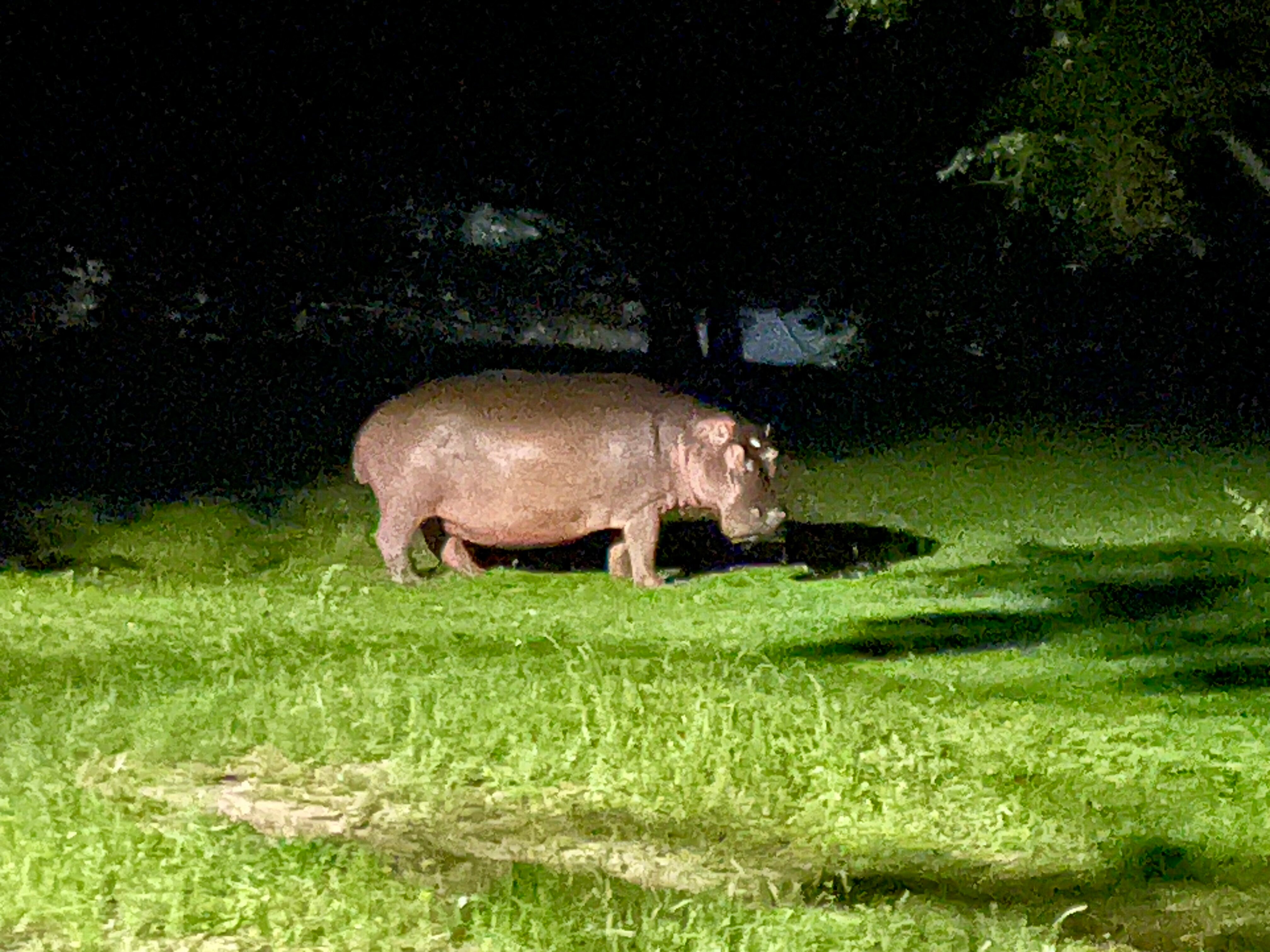 Kwalucia Private Safari Retreat-官方