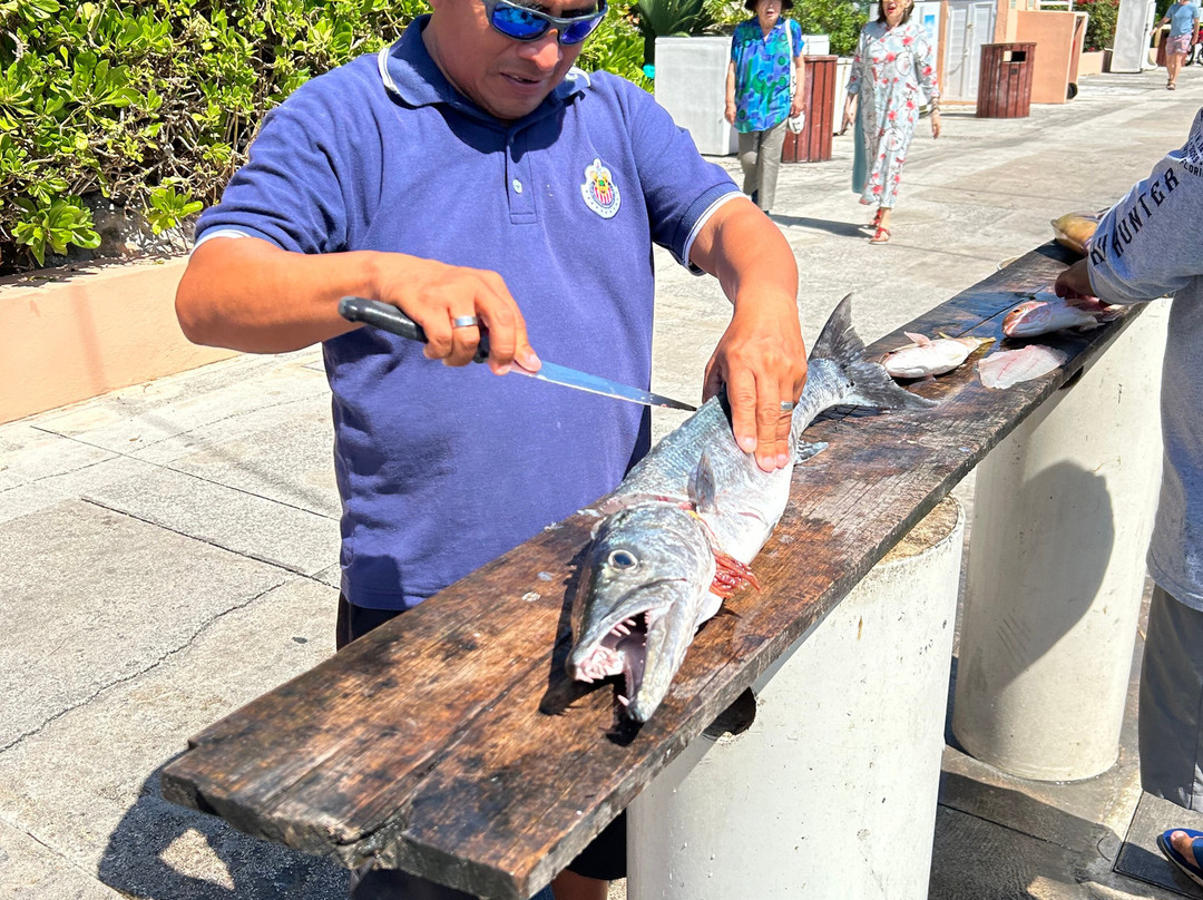 Big Fish Adventures-图伦必去景点