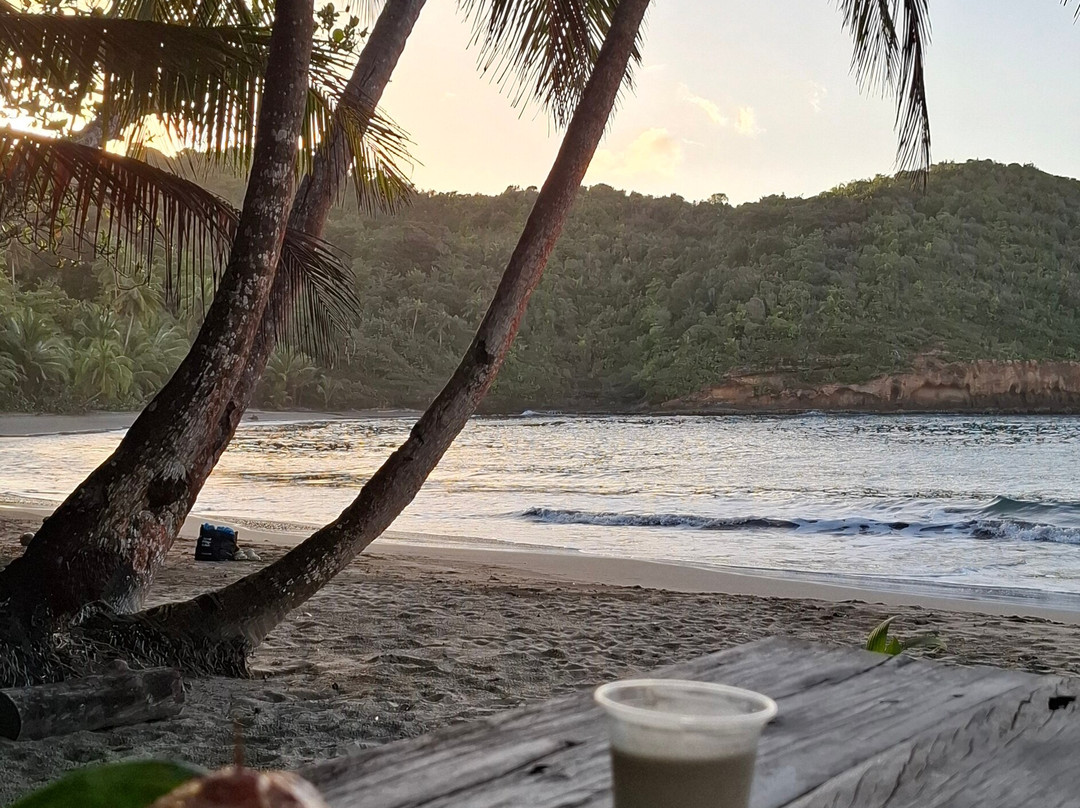 Batibou Beach-Hampstead必去景点