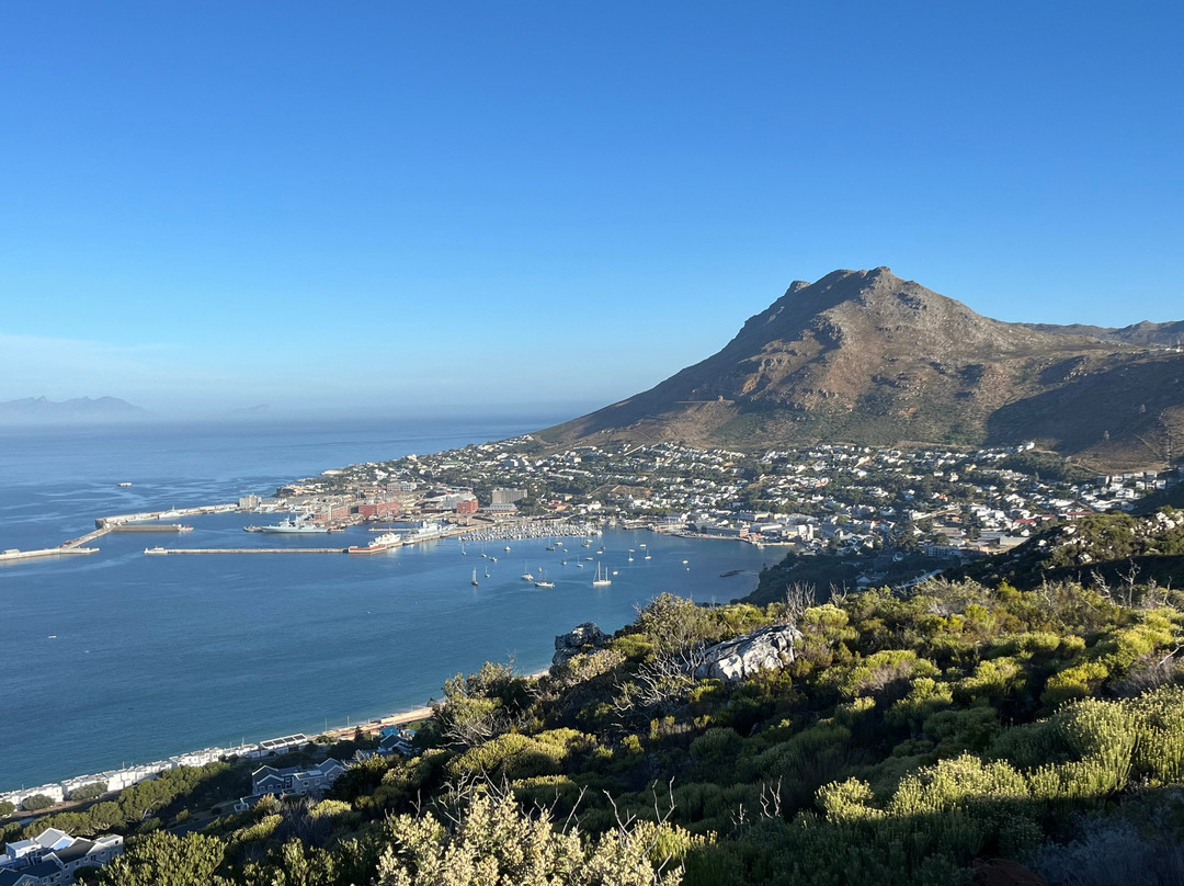 Jap Shuttles and Tours-开普敦中心区必去景点