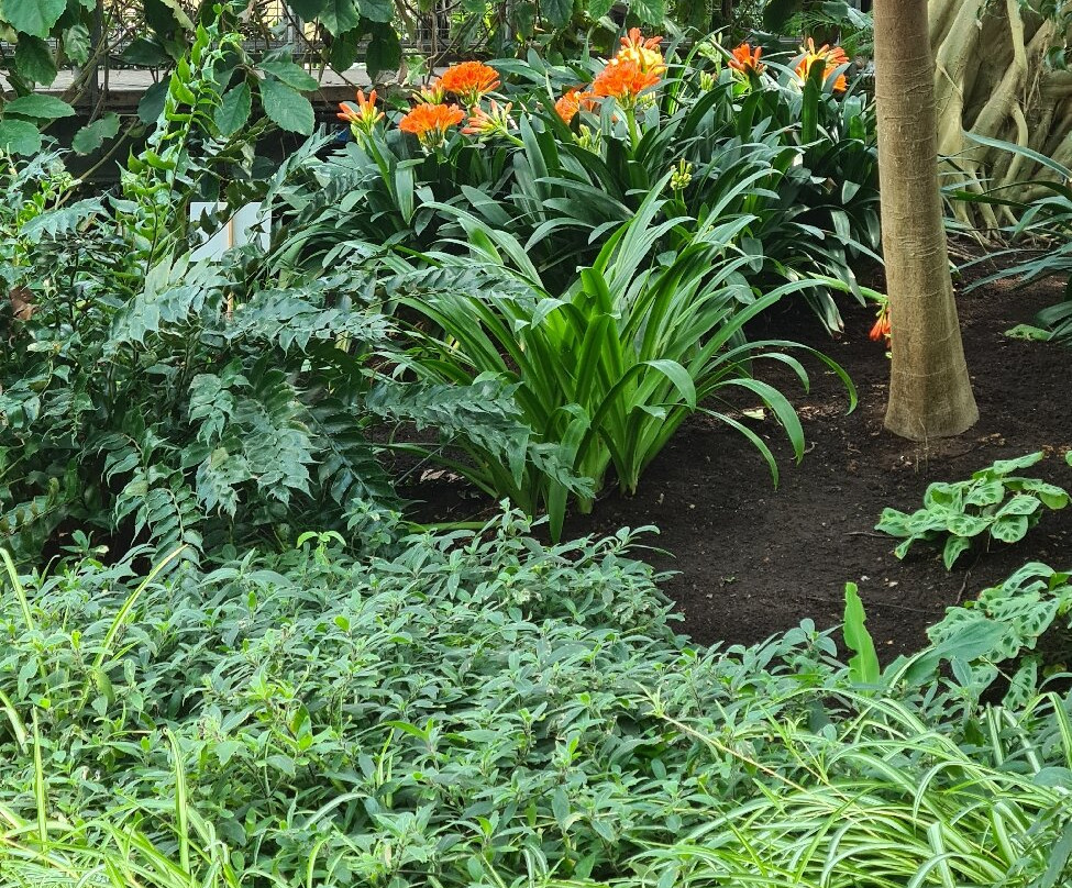 Jephsons Glasshouse-皇家利明顿温泉必去景点