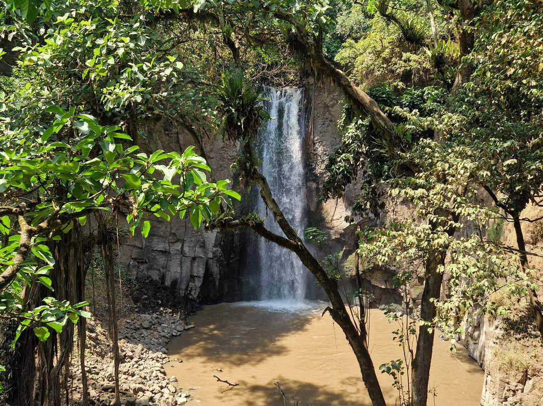 Vintage Ethiopia Tour And Travel景点图片