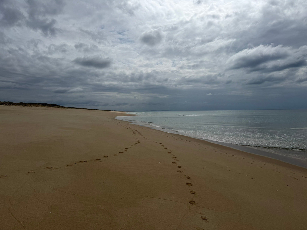 Recantus Comporta