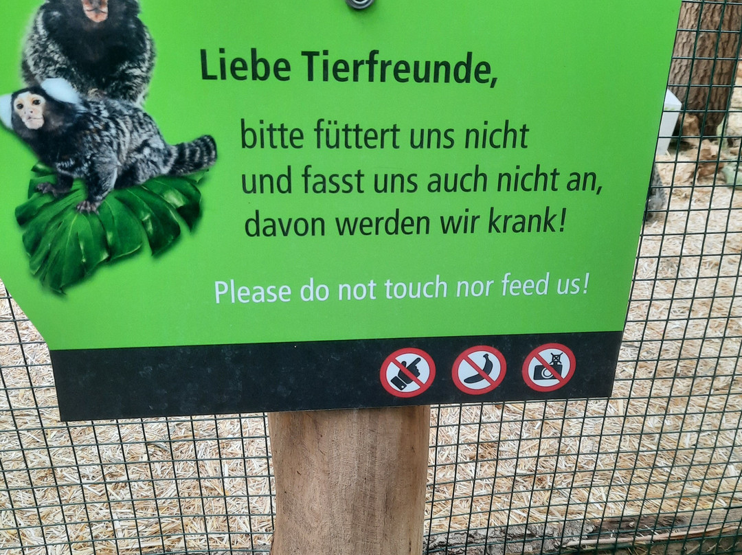 Biosphäre Potsdam-波茨坦必去景点