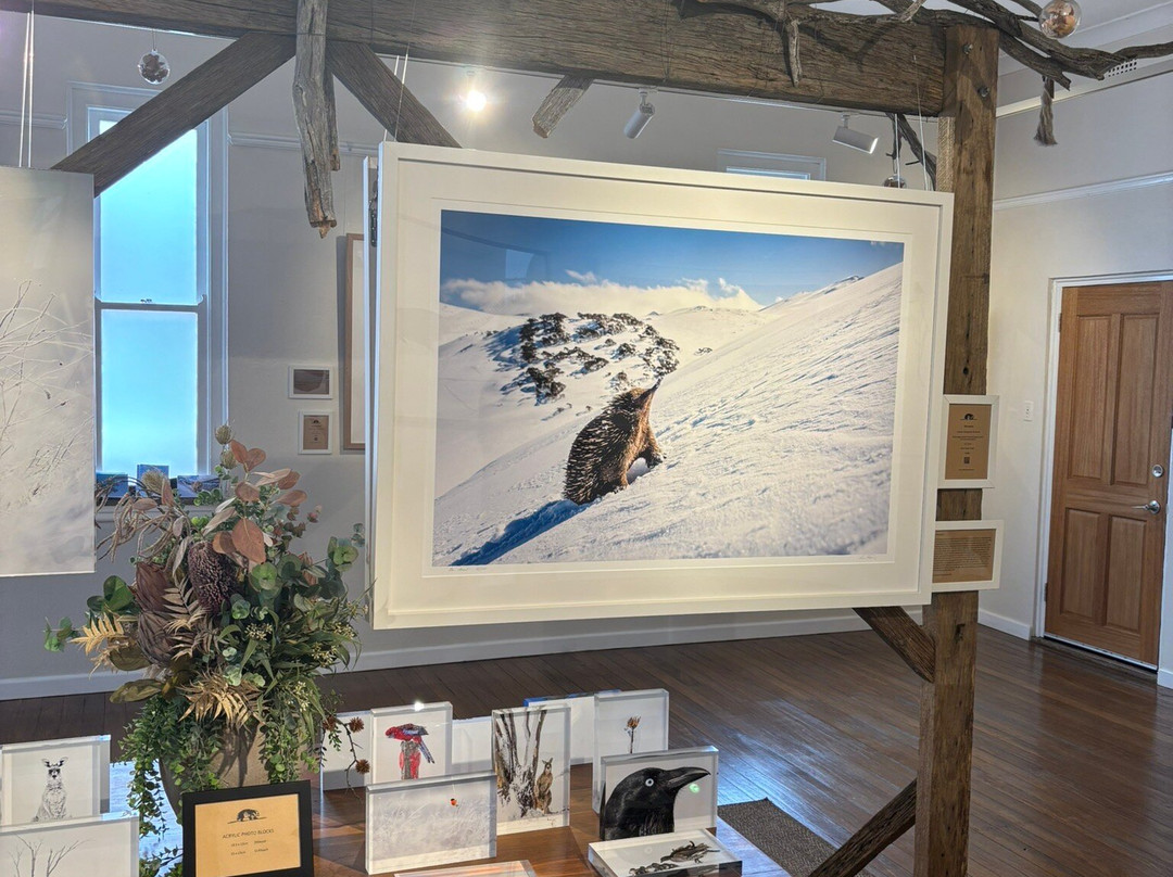 Charles Davis Photography Gallery-Cooma必去景点