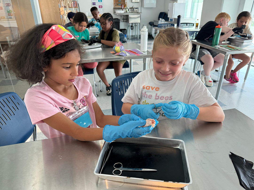 Discovery World-密尔沃基必去景点