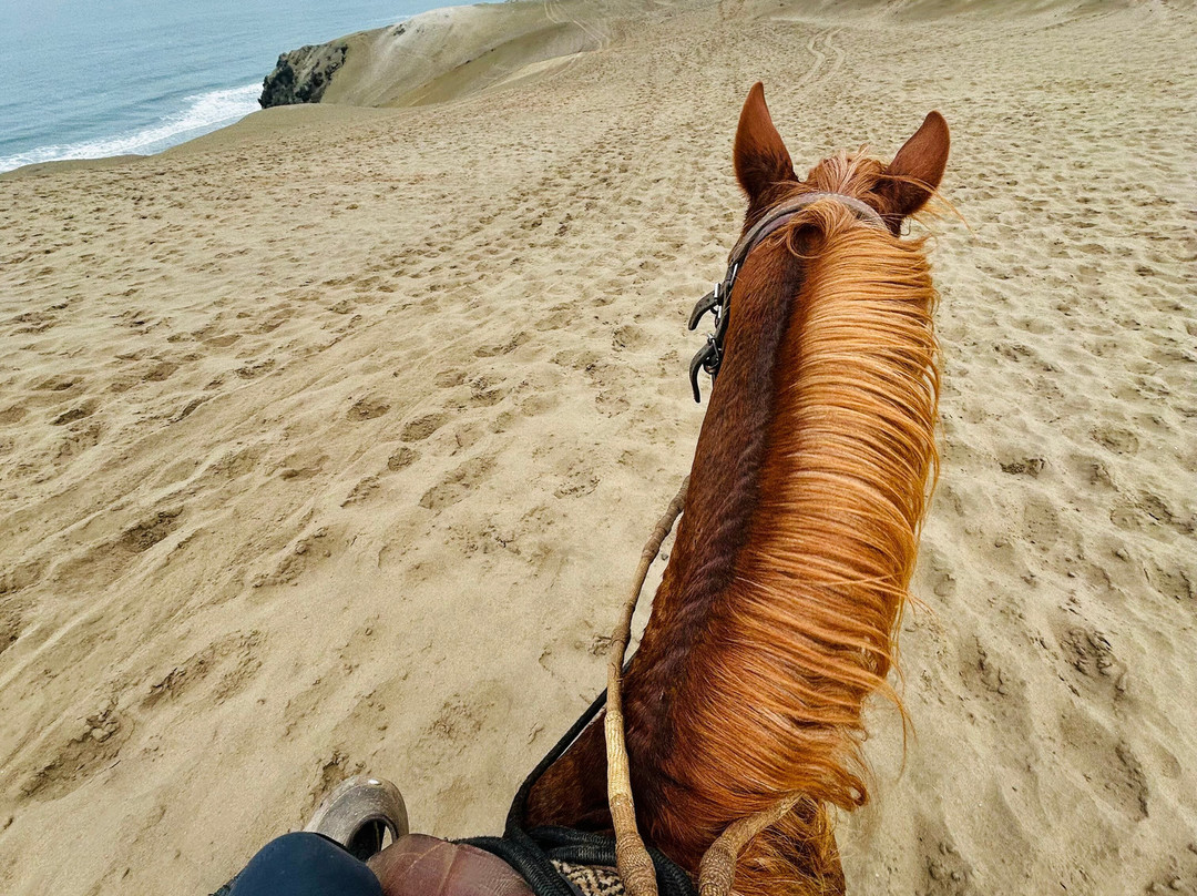 Cabalgatas-Santa Cruz de Flores必去景点