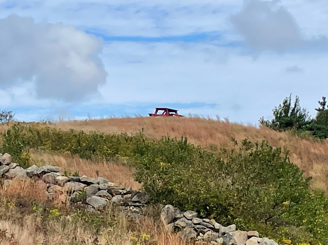 Nathan Mott Park-新肖勒姆必去景点