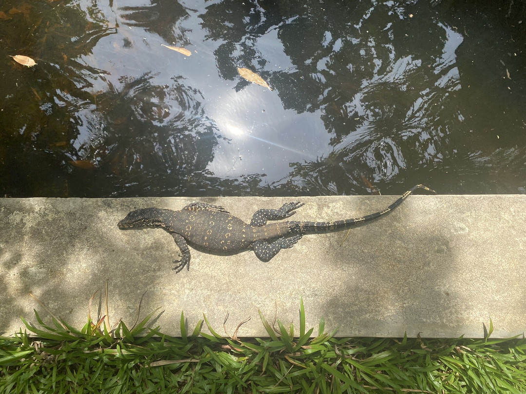 One World Foundation主图