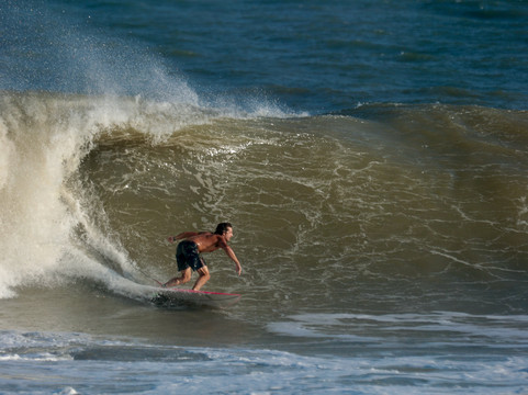 Charleston Surf Co.-福利比奇必去景点