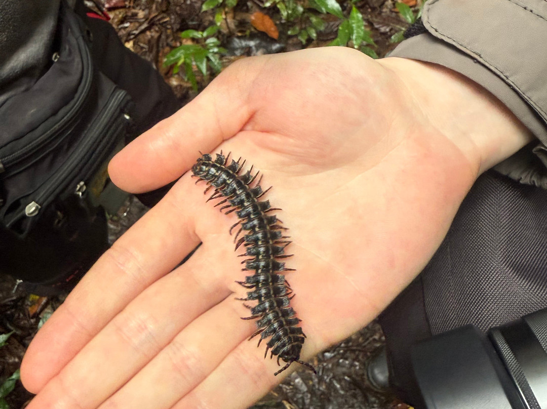 Amazonian Trails-伊基托斯必去景点