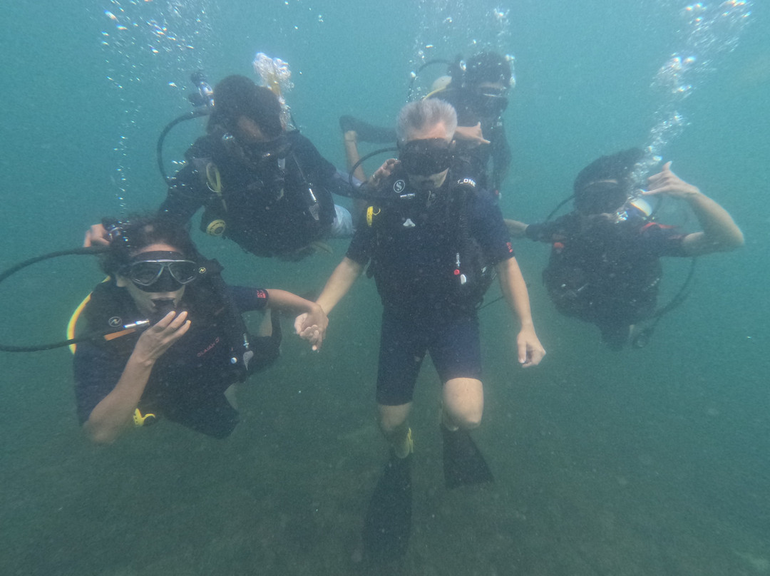 Divers Of Vingoria景点图片