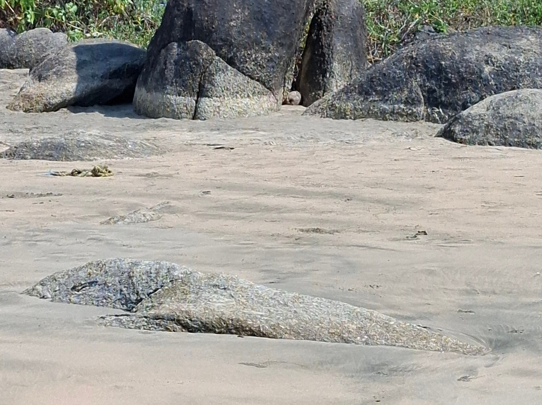 Rock Formations-雅高达必去景点