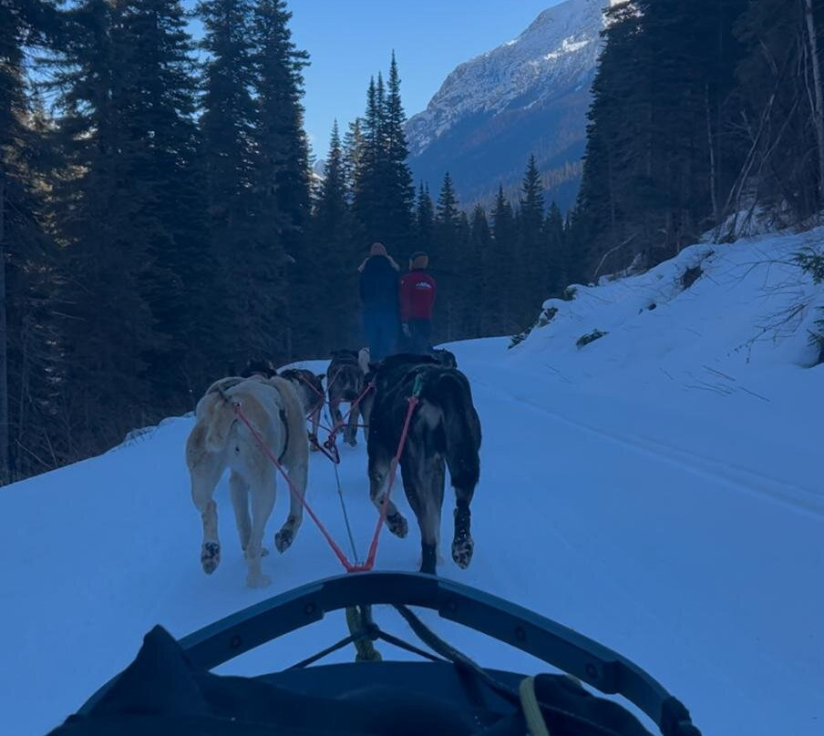 Cold Fire Creek Dogsledding-维尔蒙特必去景点