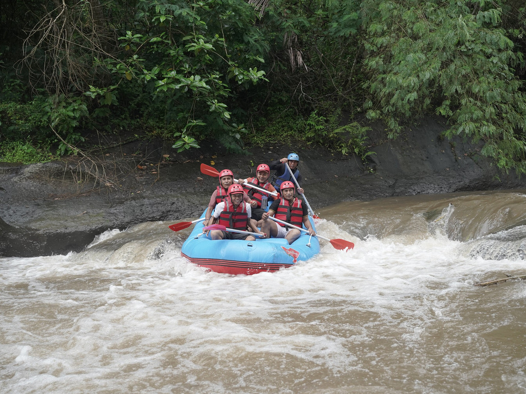 Pandora Bali Rafting景点图片