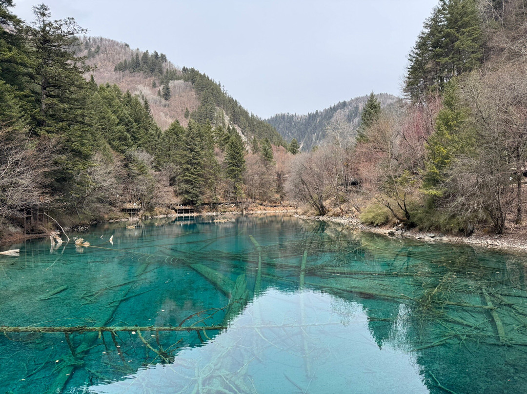 熊猫海景点图片