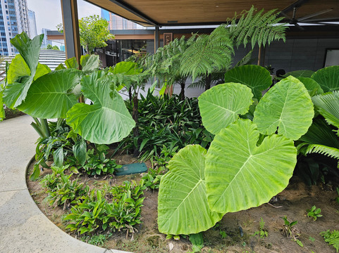 The Exchange Trx-吉隆坡必去景点