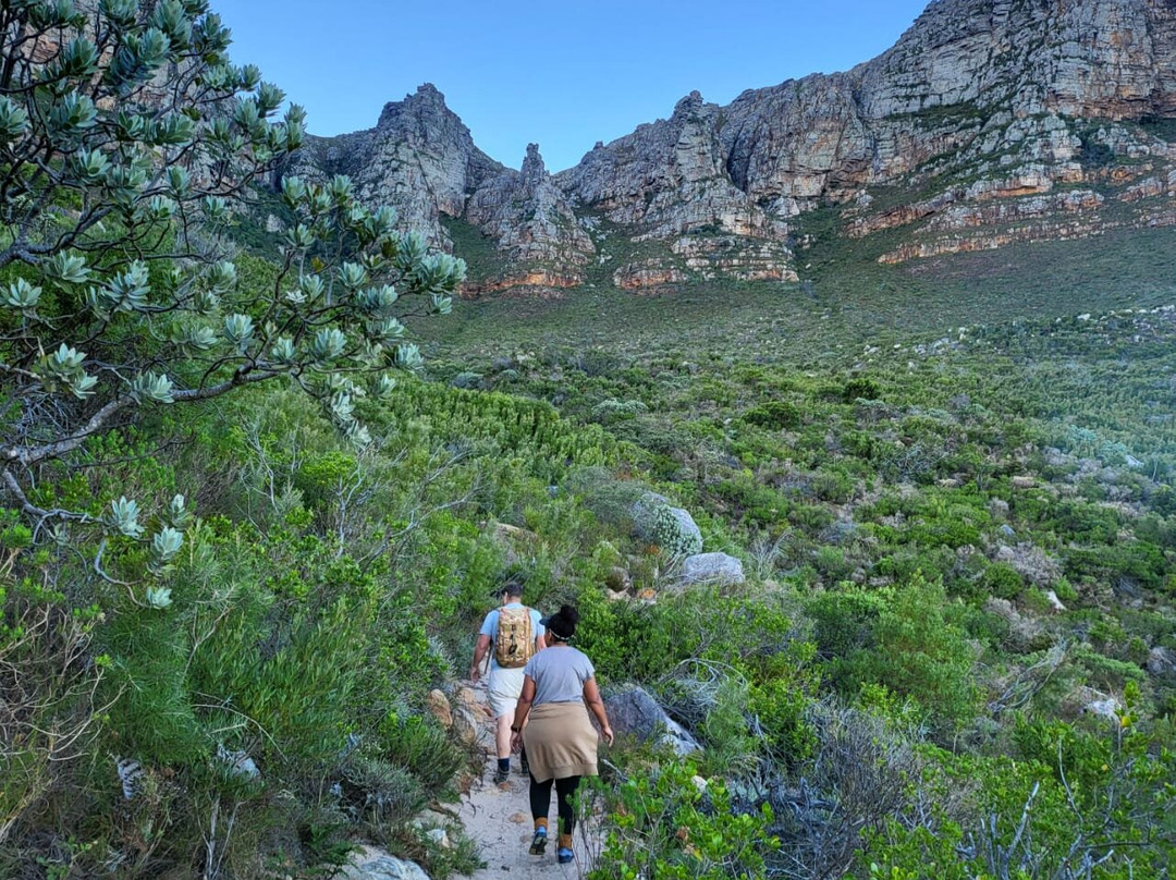Cape Town Hiking with Tim Lundy -  Tours-Kenilworth必去景点