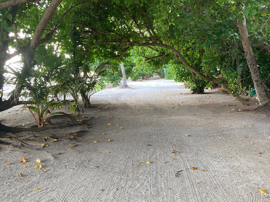 Luau Beach Inn Maldives主图