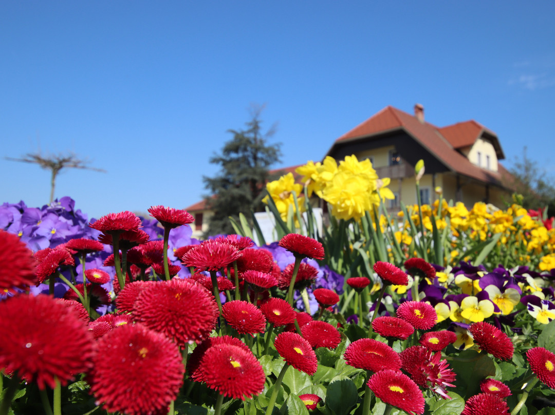 Arboretum Volčji Potok-Radomlje必去景点