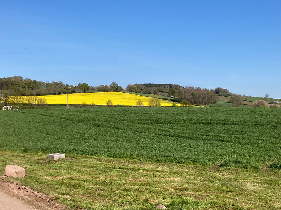 Hardwick Farm Bed & Breakfast主图