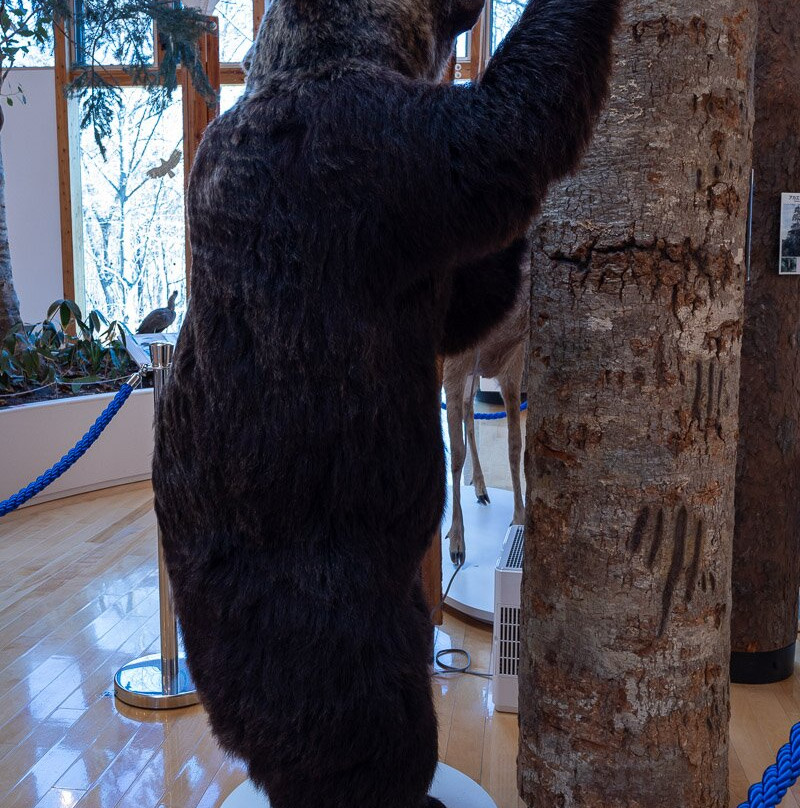 Higashi Taisetsu Nature Center-上士幌町必去景点