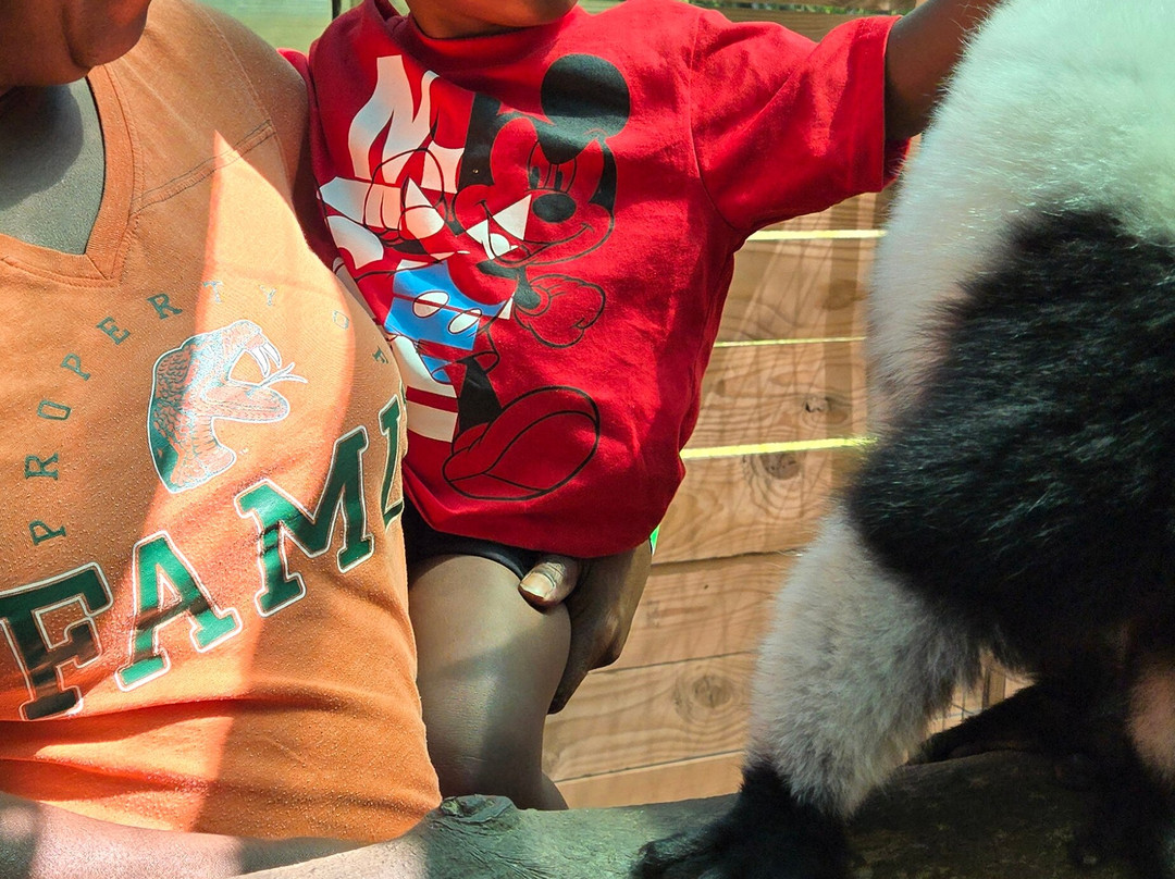 North Florida Wildlife Center景点图片
