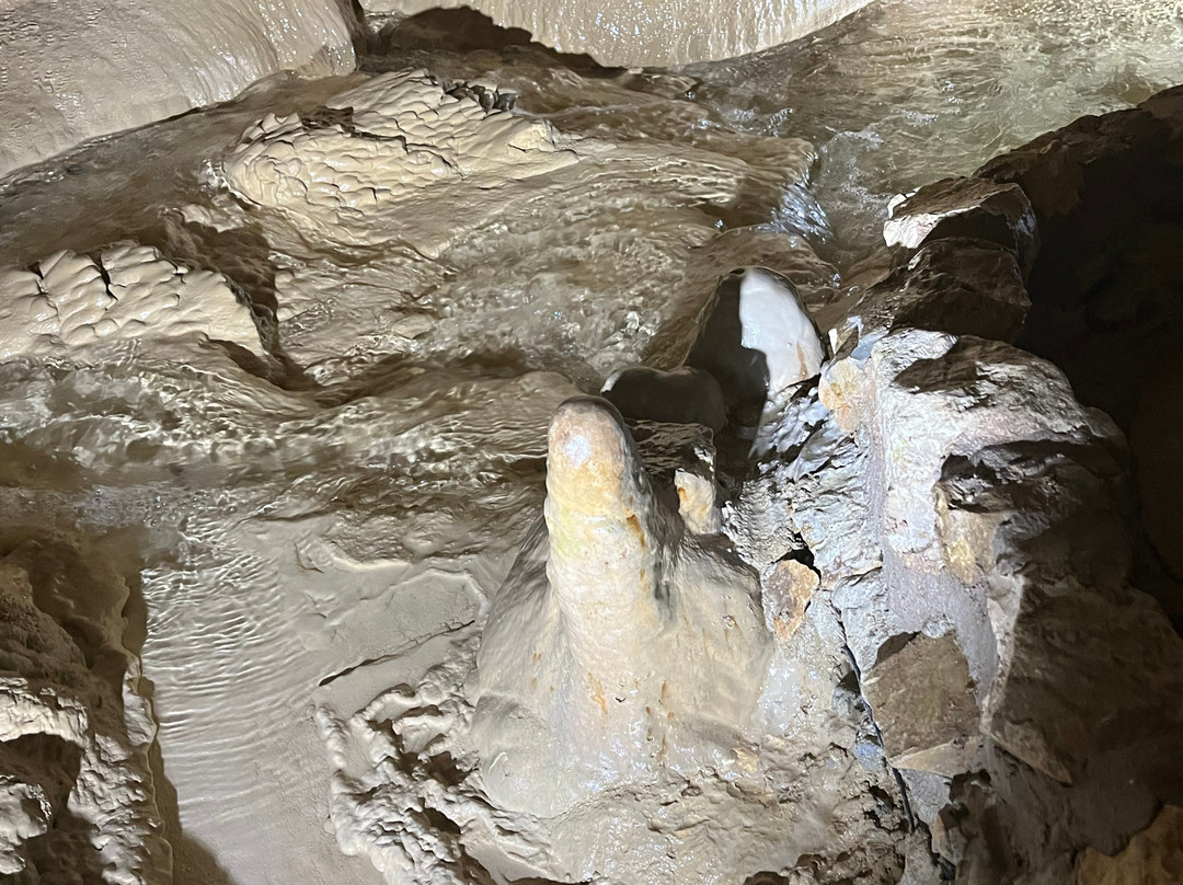 Grotte De Choranche景点图片