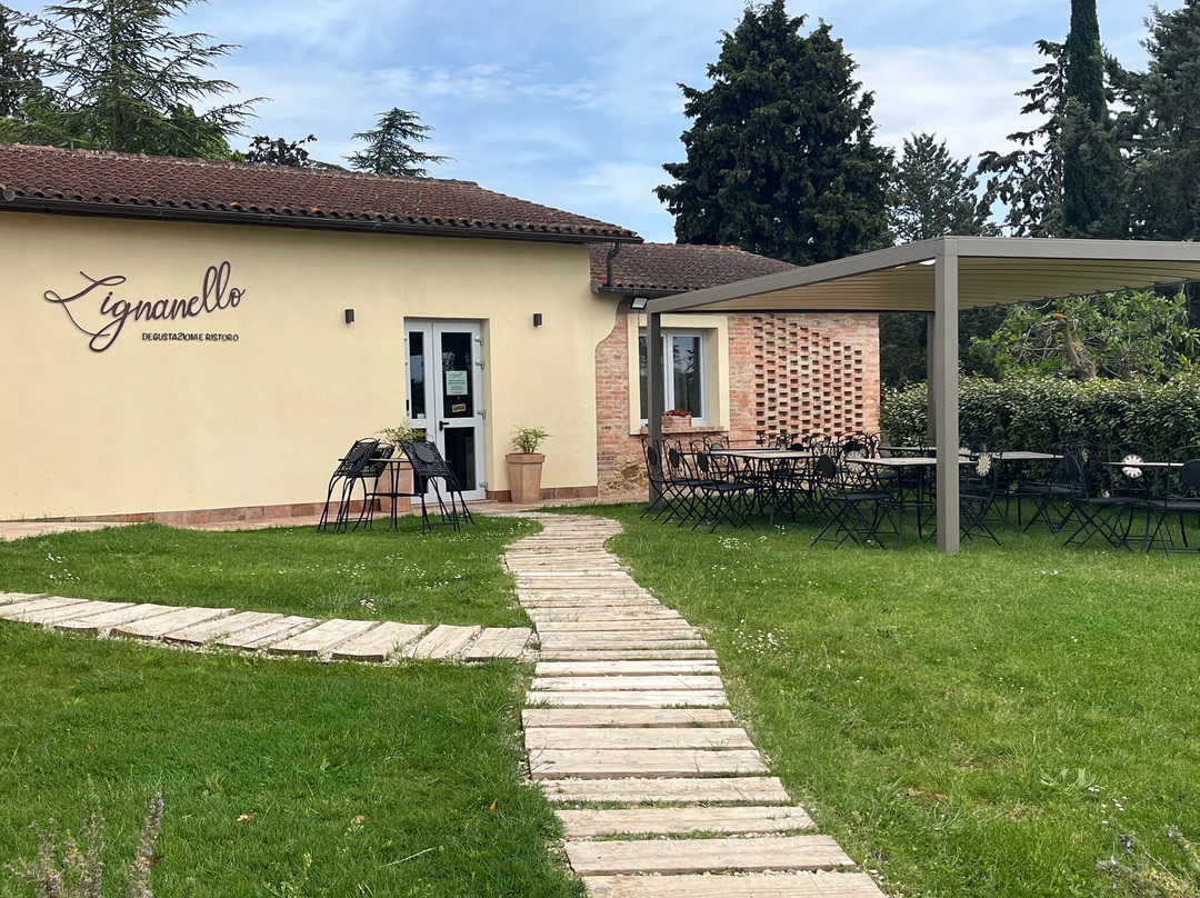 Lignanello Azienda Agricola-皮恩扎必去景点