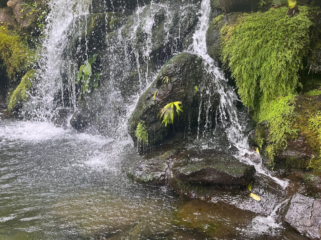 Kurú Natural Springs景点图片