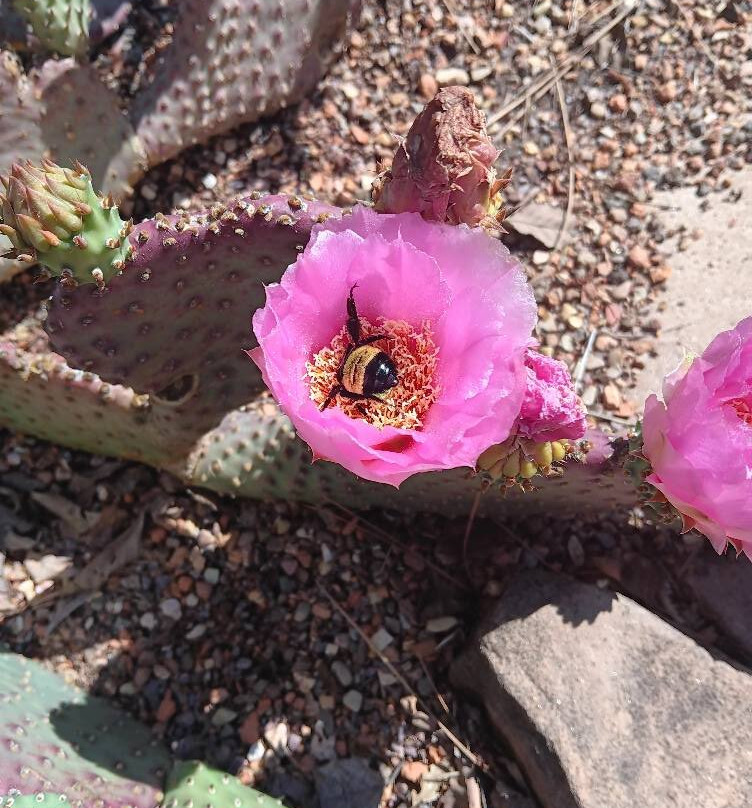 The Botanic Garden-斯蒂尔沃特必去景点